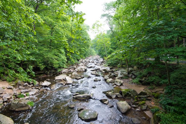 Les Assises de l’eau