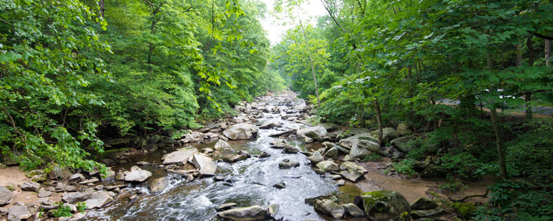 Les Assises de l’eau