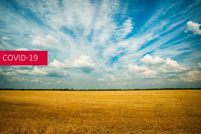 LA SAFER SUR ORDONNANCE