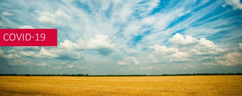 LA SAFER SUR ORDONNANCE