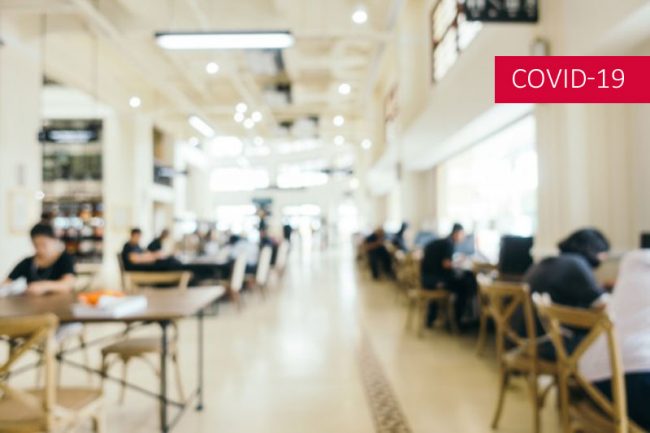 Ordonnance n° 2020-391 du 1er avril 2020 visant à assurer la continuité du fonctionnement des institutions locales et de l’exercice des compétences des collectivités territoriales et des établissements publics locaux