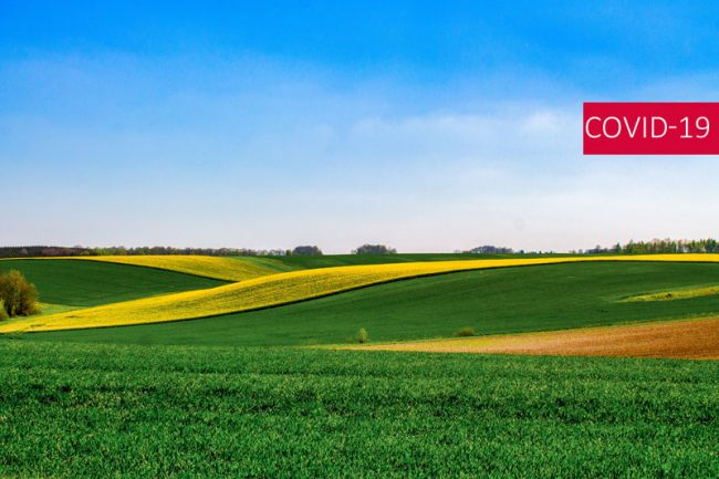 COVID ET DÉLAIS : OÙ EN EST-ON CÔTÉ RURAL ?