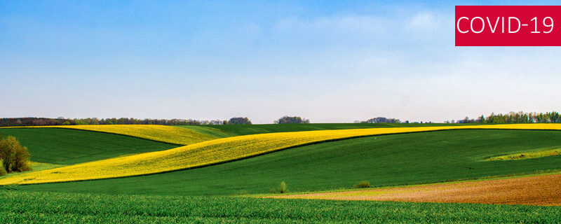 COVID ET DÉLAIS : OÙ EN EST-ON CÔTÉ RURAL ?