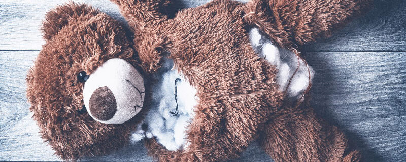 CONSÉQUENCES DES VIOLENCES INTRAFAMILIALES SUR L’OBLIGATION ALIMENTAIRE