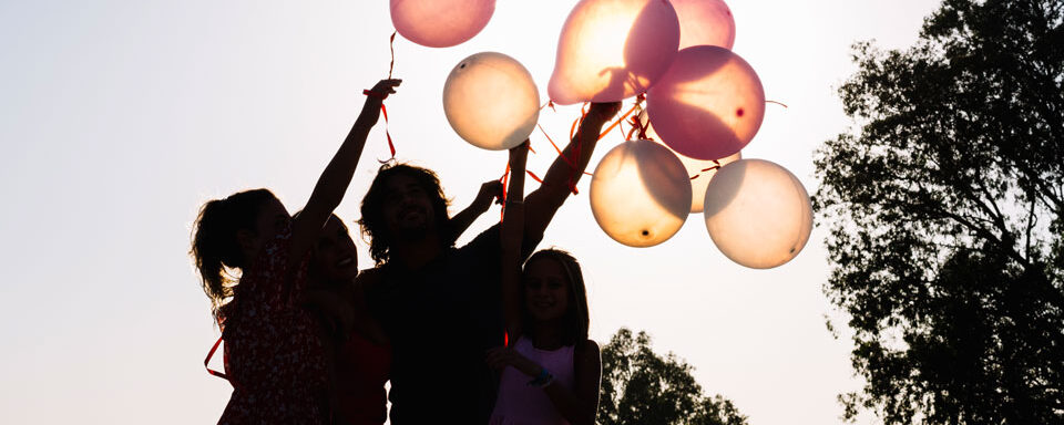 JOURNEES D'INFORMATION - AUTOMNE 2020 - WEBINAIRE