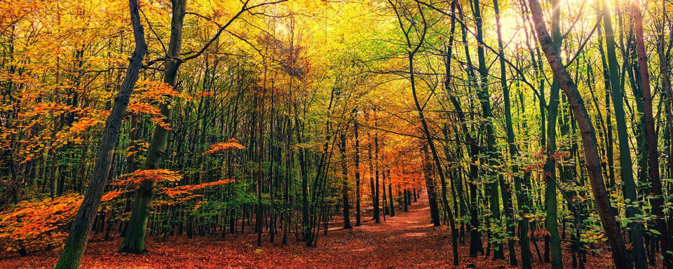 FERMETURE EXCEPTIONNELLE LE 2 NOVEMBRE 2020