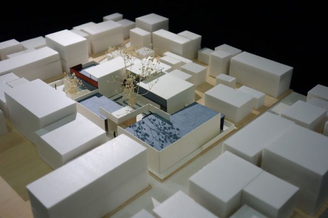 QUELLE EST L’ASSIETTE FONCIÈRE PRISE EN COMPTE POUR L’INSTRUCTION D’UNE DIVISION PRIMAIRE ?