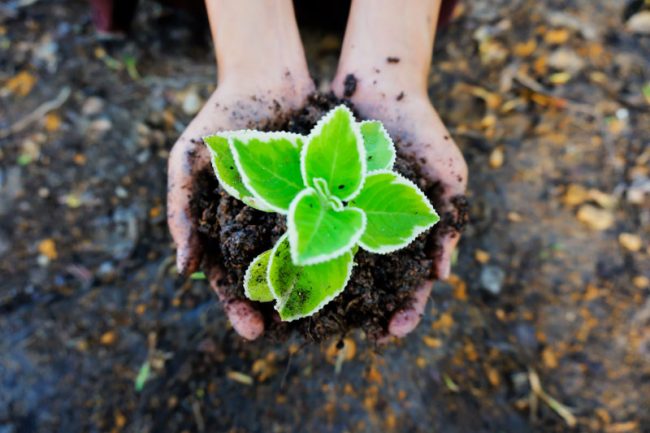 LOI N° 2020-1525 DU 7 DÉCEMBRE 2020 D'ACCÉLÉRATION ET DE SIMPLIFICATION DE L'ACTION PUBLIQUE (ASAP) : DES INCIDENCES EN MATIÈRE ENVIRONNEMENTALE