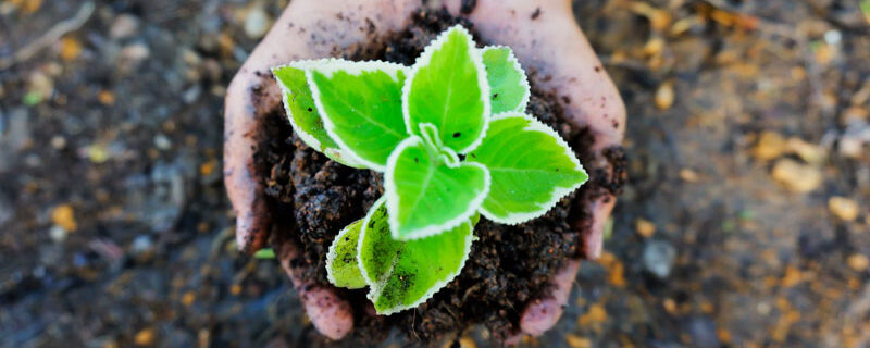 LOI N° 2020-1525 DU 7 DÉCEMBRE 2020 D'ACCÉLÉRATION ET DE SIMPLIFICATION DE L'ACTION PUBLIQUE (ASAP) : DES INCIDENCES EN MATIÈRE ENVIRONNEMENTALE