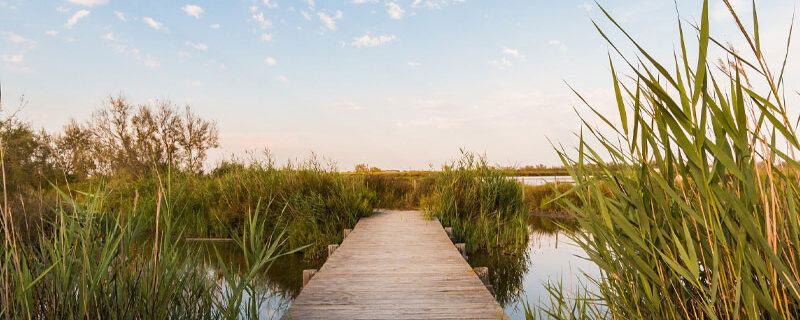 DROIT DE PRÉEMPTION DANS LES ESPACES NATURELS SENSIBLES : LES DONATIONS DEVRONT ÊTRE PURGÉES À L’ÉGAL DU DPU