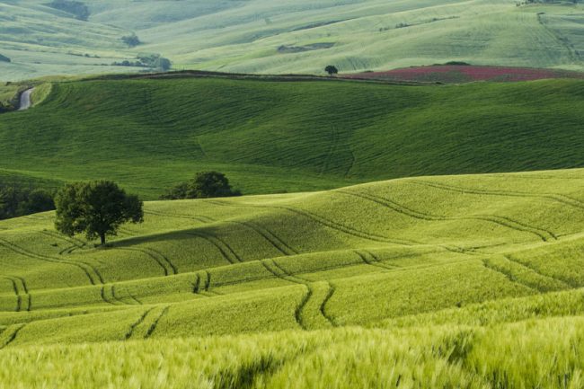 Loi Sempastous : Seuil fixé à 222 hectares en région Grand Est (sauf montagne Vosgienne) et application dès le 1er avril 2023