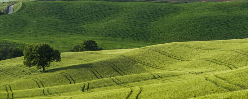 Loi Sempastous : Seuil fixé à 222 hectares en région Grand Est (sauf montagne Vosgienne) et application dès le 1er avril 2023