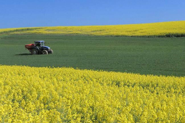 Loi Sempastous : Parution des seuils d’agrandissement significatifs applicables dans les régions Hauts-de-France et Grand-Est