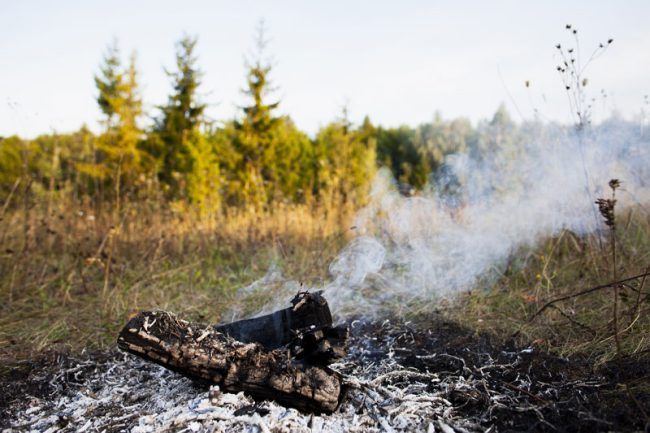 PAS DE DROIT DE PRÉEMPTION « INCENDIE » POUR LES RÉGIONS HAUTS-DE-FRANCE ET GRAND-EST
