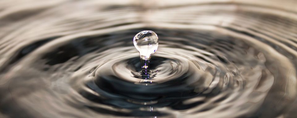 PROBLÉMATIQUES RURALES AUTOUR DE L’EAU