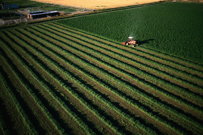 RENFORCEMENT DE L’EXONÉRATION EN FAVEUR DE LA TRANSMISSION DE CERTAINS BIENS RURAUX : CONFUSION SUR CONFUSION NE VAUT !