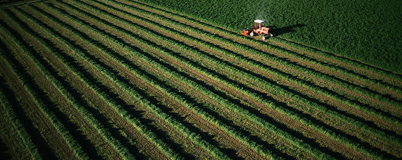 RENFORCEMENT DE L’EXONÉRATION EN FAVEUR DE LA TRANSMISSION DE CERTAINS BIENS RURAUX : CONFUSION SUR CONFUSION NE VAUT !